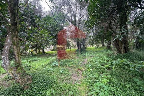 Farm i Vila Verde, Braga, Vila Verde - € 900.000 | Ref: 08580 - foto 47