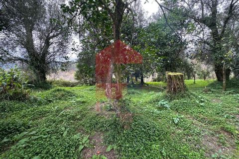 Farm i Vila Verde, Braga, Vila Verde - € 900.000 | Ref: 08580 - foto 48