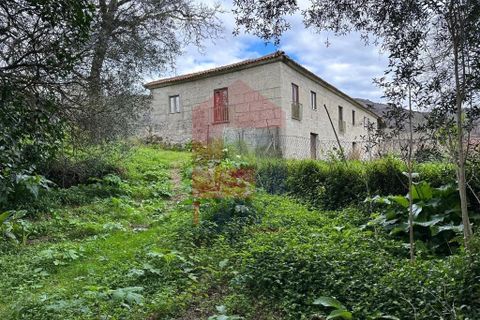 Farm i Vila Verde, Braga, Vila Verde - € 900.000 | Ref: 08580 - foto 50