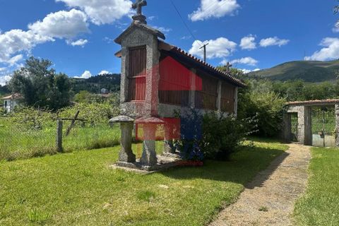 Farm i Vila Verde, Braga, Vila Verde - € 900.000 | Ref: 08580 - foto 26