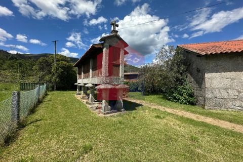 Farm i Vila Verde, Braga, Vila Verde - € 900.000 | Ref: 08580 - foto 27