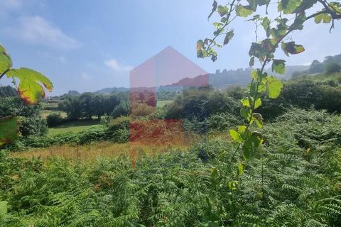 Helårsgrund i Vila Verde, Braga, Vila Verde - € 46.500 | Ref: 08371 - foto 2