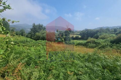 Helårsgrund i Vila Verde, Braga, Vila Verde - € 46.500 | Ref: 08371 - foto 3
