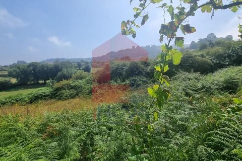 Helårsgrund i Vila Verde, Braga, Vila Verde - € 46.500 | Ref: 08371 - foto 5
