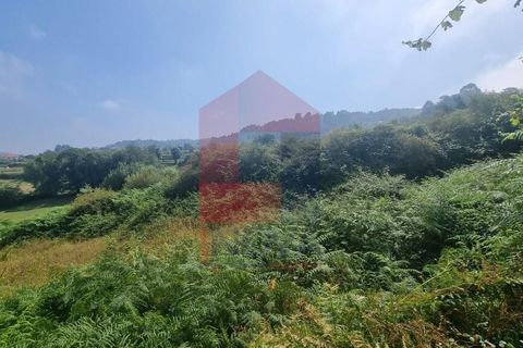 Helårsgrund i Vila Verde, Braga, Vila Verde - € 46.500 | Ref: 08371 - foto 6