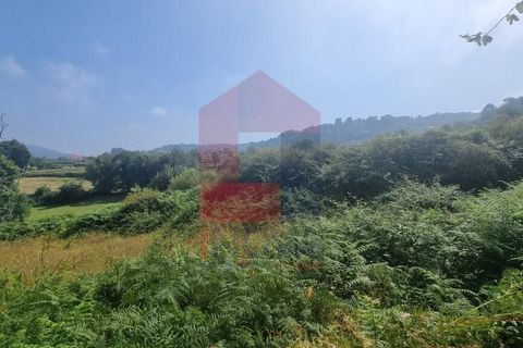 Helårsgrund i Vila Verde, Braga, Vila Verde - € 46.500 | Ref: 08371 - foto 7