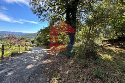 Helårsgrund i Vila Verde, Braga, Vila Verde - € 56.500 | Ref: 08417 - foto 2