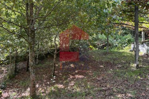 Helårsgrund i Vila Verde, Braga, Vila Verde - € 56.500 | Ref: 08417 - foto 6