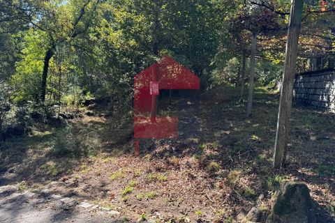 Helårsgrund i Vila Verde, Braga, Vila Verde - € 56.500 | Ref: 08417 - foto 9