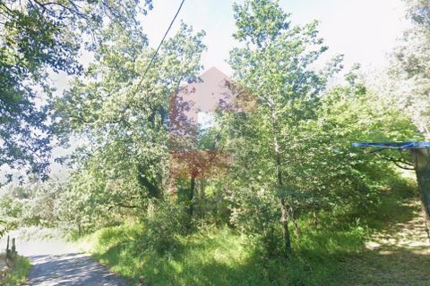 Helårsgrund i Vila Verde, Braga, Vila Verde - € 56.500 | Ref: 08417 - foto 12