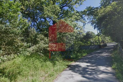 Helårsgrund i Vila Verde, Braga, Vila Verde - € 56.500 | Ref: 08417 - foto 13
