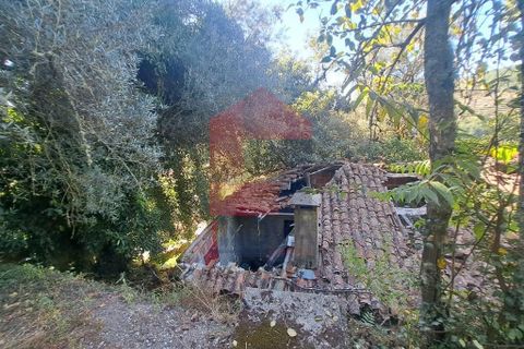 Byhus i Vila Verde, Braga, Vila Verde - € 37.500 | Ref: 08462 - foto 9
