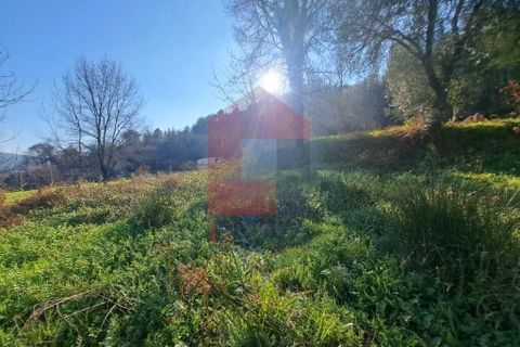 Helårsgrund i Vila Verde, Braga, Vila Verde - € 45.000 | Ref: 08537 - foto 4