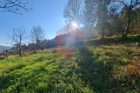 Helårsgrund i Vila Verde, Braga, Vila Verde - € 45.000 | Ref: 08537 - foto 5