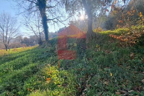 Helårsgrund i Vila Verde, Braga, Vila Verde - € 45.000 | Ref: 08537 - foto 7