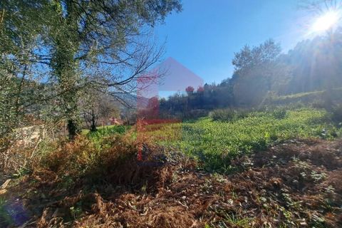 Helårsgrund i Vila Verde, Braga, Vila Verde - € 45.000 | Ref: 08537 - foto 10