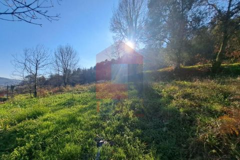 Helårsgrund i Vila Verde, Braga, Vila Verde - € 45.000 | Ref: 08537 - foto 14