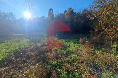 Helårsgrund i Vila Verde, Braga, Vila Verde - € 45.000 | Ref: 08537 - foto 15