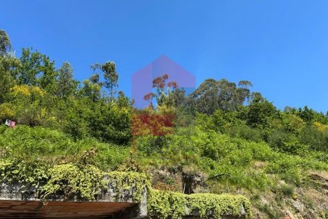 Helårsgrund i Vila Verde, Braga, Vila Verde - € 5.000 | Ref: 08327 - foto 3
