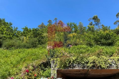 Helårsgrund i Vila Verde, Braga, Vila Verde - € 5.000 | Ref: 08327 - foto 6
