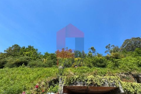 Helårsgrund i Vila Verde, Braga, Vila Verde - € 5.000 | Ref: 08327 - foto 7
