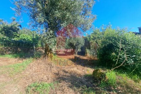 Byhus i Vila Verde, Braga, Vila Verde - € 27.500 | Ref: 08348 - foto 4