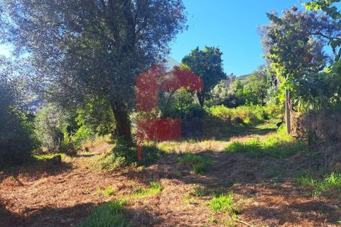Byhus i Vila Verde, Braga, Vila Verde - € 27.500 | Ref: 08348 - foto 7