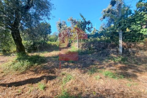 Byhus i Vila Verde, Braga, Vila Verde - € 27.500 | Ref: 08348 - foto 8