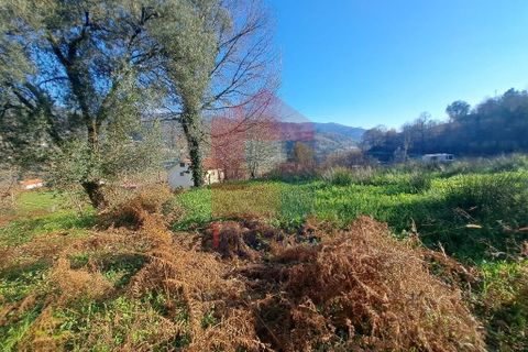 Byhus i Vila Verde, Braga, Vila Verde - € 70.000 | Ref: 08536 - foto 7