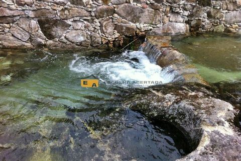 Farm i Sever do Vouga, Aveiro, Sever do Vouga - € 675.000 | Ref: 11429 - foto 12