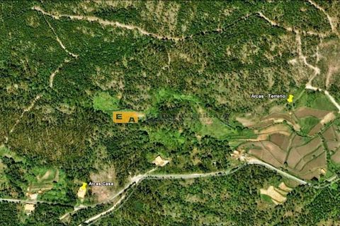 Farm i Sever do Vouga, Aveiro, Sever do Vouga - € 675.000 | Ref: 11429 - foto 15