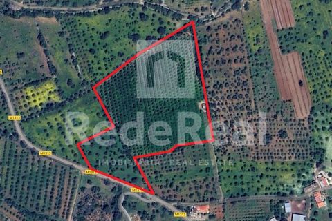 Helårsgrund i Moncarapacho, Faro, Moncarapacho - € 295.000 | Ref: 022250016 - foto 1
