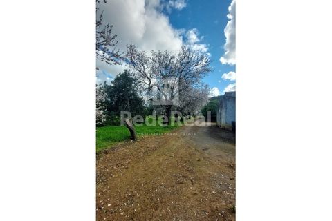 Helårsgrund i Moncarapacho, Faro, Moncarapacho - € 295.000 | Ref: 022250016 - foto 4