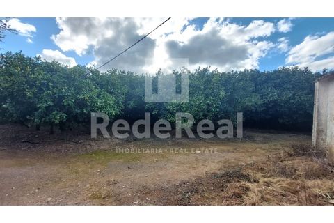 Helårsgrund i Moncarapacho, Faro, Moncarapacho - € 295.000 | Ref: 022250016 - foto 5
