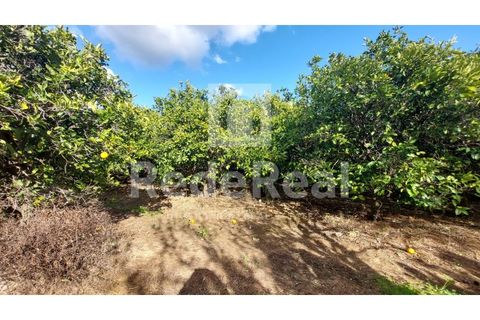 Helårsgrund i Moncarapacho, Faro, Moncarapacho - € 295.000 | Ref: 022250016 - foto 6
