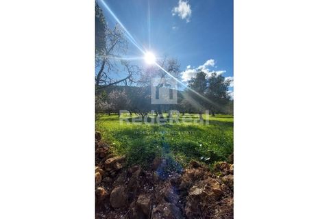 Helårsgrund i Moncarapacho, Faro, Moncarapacho - € 295.000 | Ref: 022250016 - foto 8
