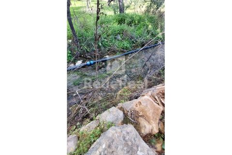 Helårsgrund i Moncarapacho, Faro, Moncarapacho - € 295.000 | Ref: 022250016 - foto 9