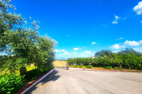 Erhvervsejendom i Rome, Rome, Rome - € 2.100.000 | Ref: 6748 - foto 2