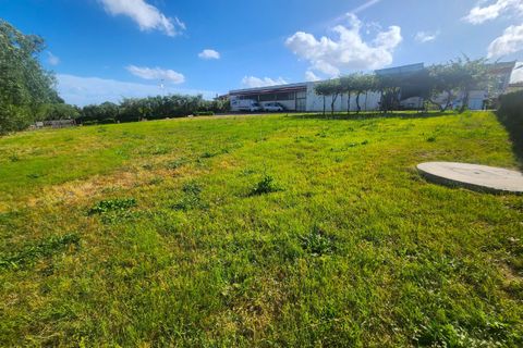 Erhvervsejendom i Rome, Rome, Rome - € 2.100.000 | Ref: 6748 - foto 6