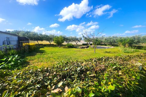 Erhvervsejendom i Rome, Rome, Rome - € 2.100.000 | Ref: 6748 - foto 13