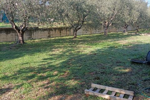 Villa i Monteprandone, Ascoli Piceno, Monteprandone - € 495.000 | Ref: 3124 - foto 31