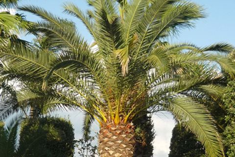 Erhvervsejendom i Bari, Bari, Bari - € 1.620.000 | Ref: 6812 - foto 2