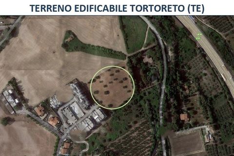 Helårsgrund i Tortoreto, Teramo, Tortoreto - € 280.000 | Ref: 6803 - foto 3