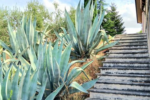 Villa a Ancarano, Teramo, Ancarano - € 460.000 | Ref: 6770 - foto 45