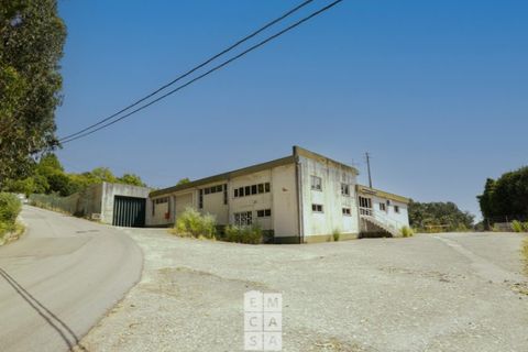 Bungalow i Vila de Cucujaes, Aveiro, Vila de Cucujaes - € 690.000 | Ref: OAZ3899 - foto 1