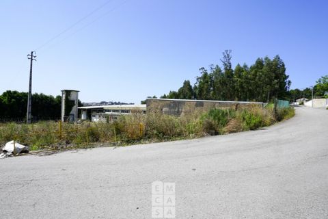 Bungalow i Vila de Cucujaes, Aveiro, Vila de Cucujaes - € 690.000 | Ref: OAZ3899 - foto 9