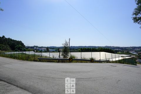 Bungalow i Vila de Cucujaes, Aveiro, Vila de Cucujaes - € 690.000 | Ref: OAZ3899 - foto 11