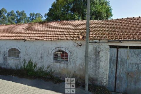 Villa i Macinhata do Vouga, Aveiro, Macinhata do Vouga - € 50.000 | Ref: OAZ3963 - foto 3