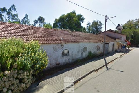 Villa i Macinhata do Vouga, Aveiro, Macinhata do Vouga - € 50.000 | Ref: OAZ3963 - foto 4