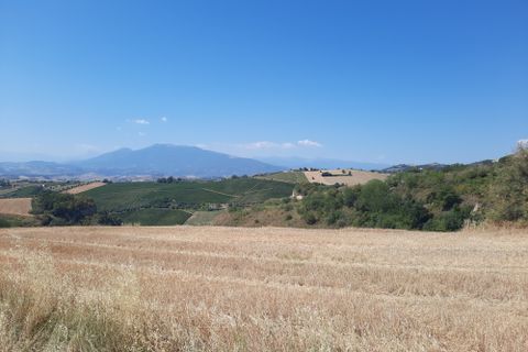 Erhvervsejendom i Offida, Ascoli Piceno, Offida - € 120.000 | Ref: 6706 - foto 5